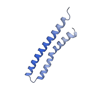 20170_6oqu_P_v1-2
E. coli ATP synthase State 1d