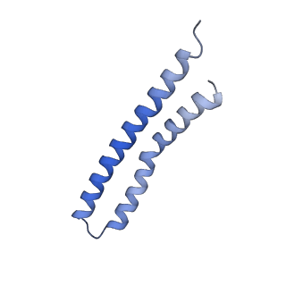 20170_6oqu_P_v1-3
E. coli ATP synthase State 1d