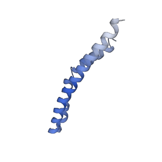 20170_6oqu_Q_v1-3
E. coli ATP synthase State 1d