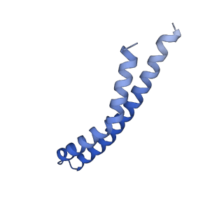 20170_6oqu_R_v1-3
E. coli ATP synthase State 1d