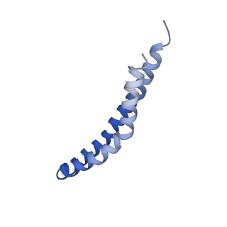 20170_6oqu_S_v1-3
E. coli ATP synthase State 1d