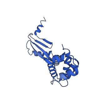 20170_6oqu_W_v1-2
E. coli ATP synthase State 1d
