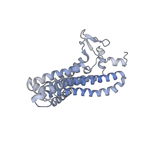 20170_6oqu_a_v1-2
E. coli ATP synthase State 1d