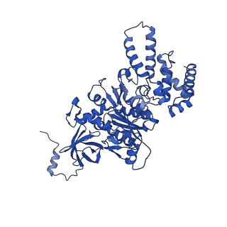 20171_6oqv_A_v1-2
E. coli ATP Synthase State 2b