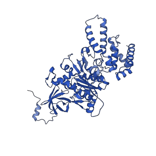 20171_6oqv_A_v1-3
E. coli ATP Synthase State 2b