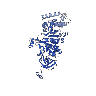 20171_6oqv_B_v1-2
E. coli ATP Synthase State 2b