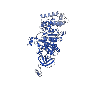 20171_6oqv_B_v1-3
E. coli ATP Synthase State 2b