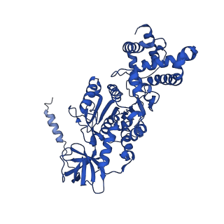 20171_6oqv_C_v1-3
E. coli ATP Synthase State 2b