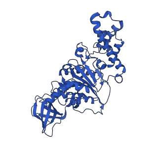 20171_6oqv_D_v1-2
E. coli ATP Synthase State 2b