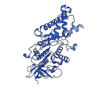 20171_6oqv_E_v1-2
E. coli ATP Synthase State 2b