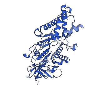 20171_6oqv_E_v1-3
E. coli ATP Synthase State 2b