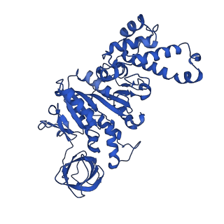 20171_6oqv_F_v1-2
E. coli ATP Synthase State 2b