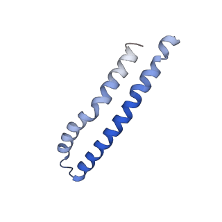 20171_6oqv_I_v1-2
E. coli ATP Synthase State 2b