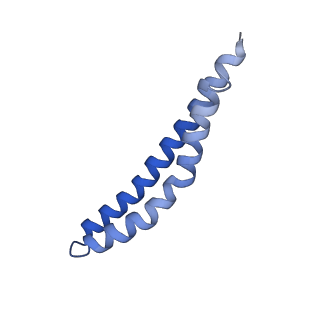 20171_6oqv_J_v1-2
E. coli ATP Synthase State 2b