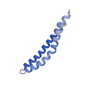 20171_6oqv_J_v1-3
E. coli ATP Synthase State 2b