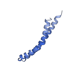 20171_6oqv_L_v1-2
E. coli ATP Synthase State 2b