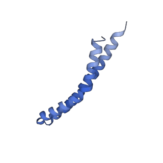 20171_6oqv_L_v1-3
E. coli ATP Synthase State 2b