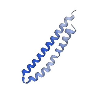 20171_6oqv_M_v1-2
E. coli ATP Synthase State 2b