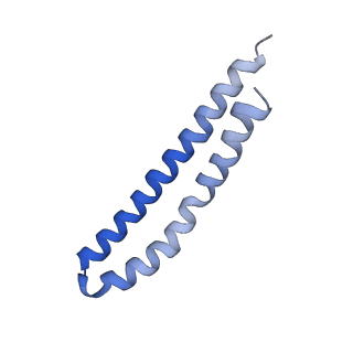 20171_6oqv_M_v1-3
E. coli ATP Synthase State 2b