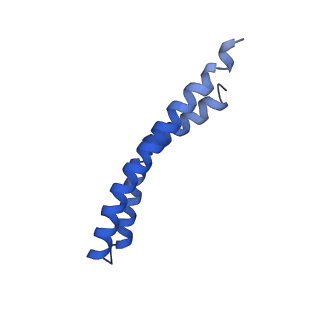 20171_6oqv_N_v1-2
E. coli ATP Synthase State 2b