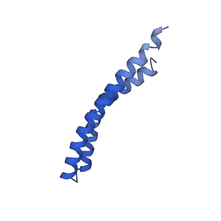 20171_6oqv_N_v1-3
E. coli ATP Synthase State 2b