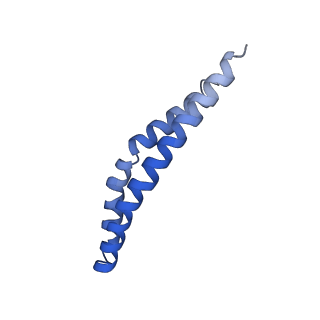 20171_6oqv_O_v1-3
E. coli ATP Synthase State 2b