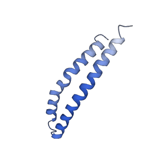 20171_6oqv_P_v1-2
E. coli ATP Synthase State 2b