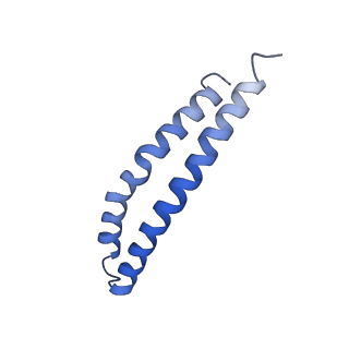 20171_6oqv_P_v1-3
E. coli ATP Synthase State 2b