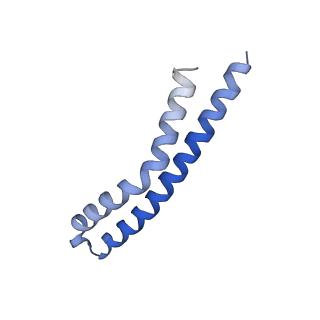 20171_6oqv_Q_v1-3
E. coli ATP Synthase State 2b