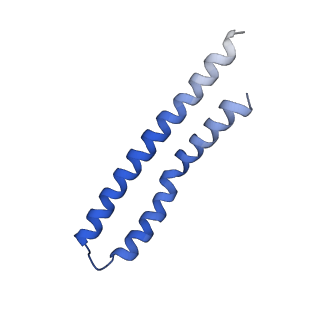 20171_6oqv_R_v1-3
E. coli ATP Synthase State 2b