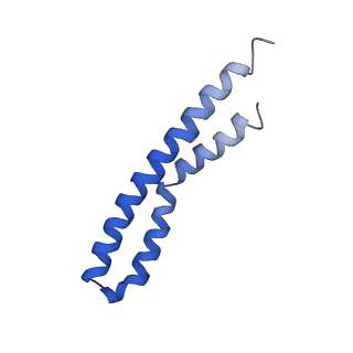 20171_6oqv_S_v1-3
E. coli ATP Synthase State 2b