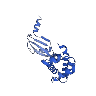 20171_6oqv_W_v1-2
E. coli ATP Synthase State 2b