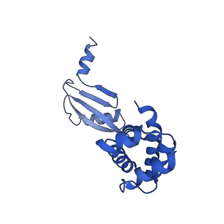 20171_6oqv_W_v1-3
E. coli ATP Synthase State 2b