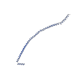 20171_6oqv_Y_v1-3
E. coli ATP Synthase State 2b