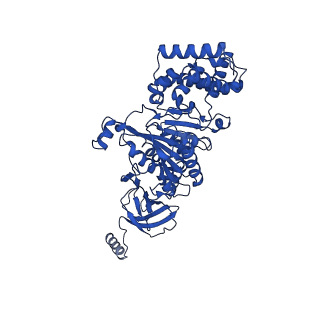 20172_6oqw_A_v1-0
E. coli ATP synthase State 3a