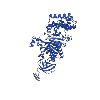 20172_6oqw_A_v1-1
E. coli ATP synthase State 3a