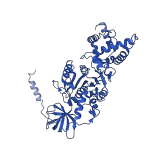 20172_6oqw_B_v1-0
E. coli ATP synthase State 3a