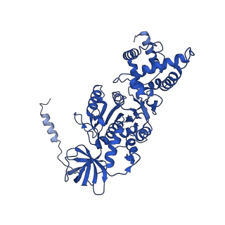 20172_6oqw_B_v1-1
E. coli ATP synthase State 3a