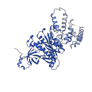 20172_6oqw_C_v1-1
E. coli ATP synthase State 3a