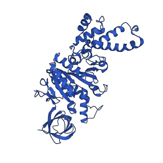 20172_6oqw_D_v1-0
E. coli ATP synthase State 3a