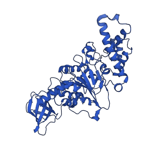 20172_6oqw_E_v1-0
E. coli ATP synthase State 3a
