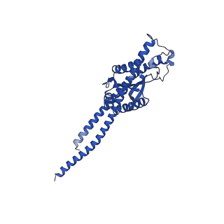 20172_6oqw_G_v1-0
E. coli ATP synthase State 3a
