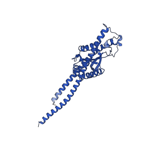 20172_6oqw_G_v1-1
E. coli ATP synthase State 3a