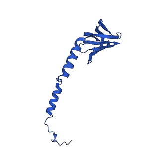 20172_6oqw_H_v1-0
E. coli ATP synthase State 3a