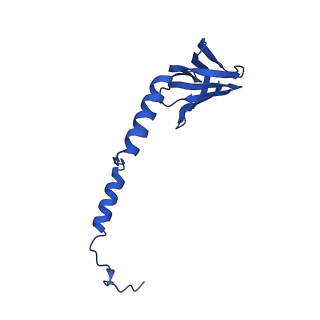 20172_6oqw_H_v1-1
E. coli ATP synthase State 3a