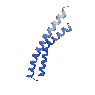 20172_6oqw_J_v1-1
E. coli ATP synthase State 3a