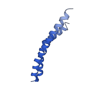 20172_6oqw_M_v1-0
E. coli ATP synthase State 3a