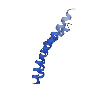 20172_6oqw_M_v1-1
E. coli ATP synthase State 3a