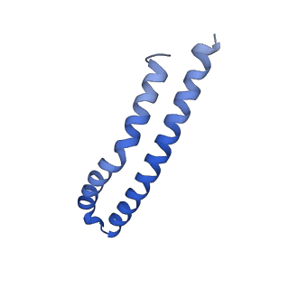 20172_6oqw_N_v1-0
E. coli ATP synthase State 3a