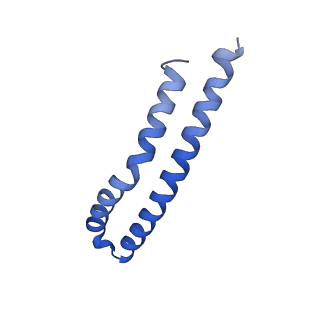 20172_6oqw_N_v1-1
E. coli ATP synthase State 3a